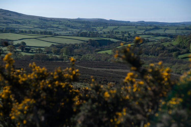 Okehampton Deer Park Circuity walk