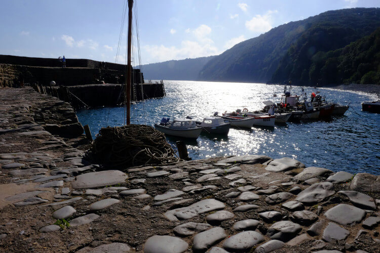 Boats docked on a pier