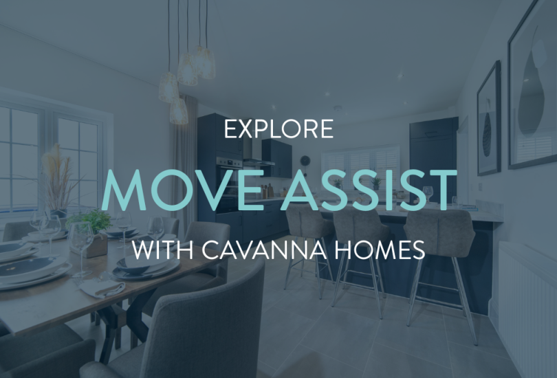 Move Assist Oak Mount