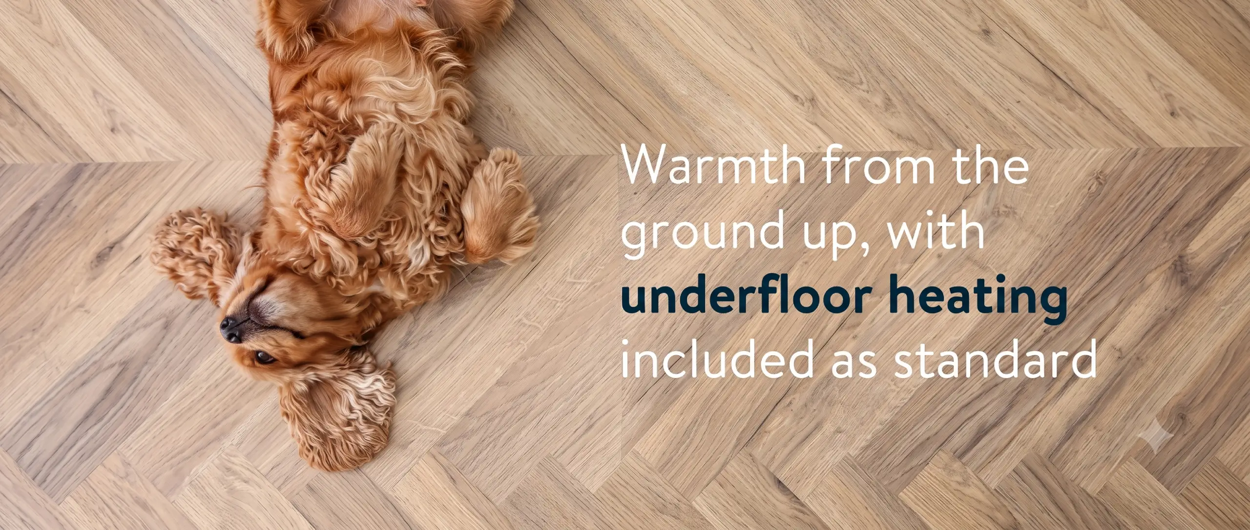 Promotional Banner Image of a dog lying on a hard floor with text that reads Warmth from the ground up, with underfloor heating included as standard